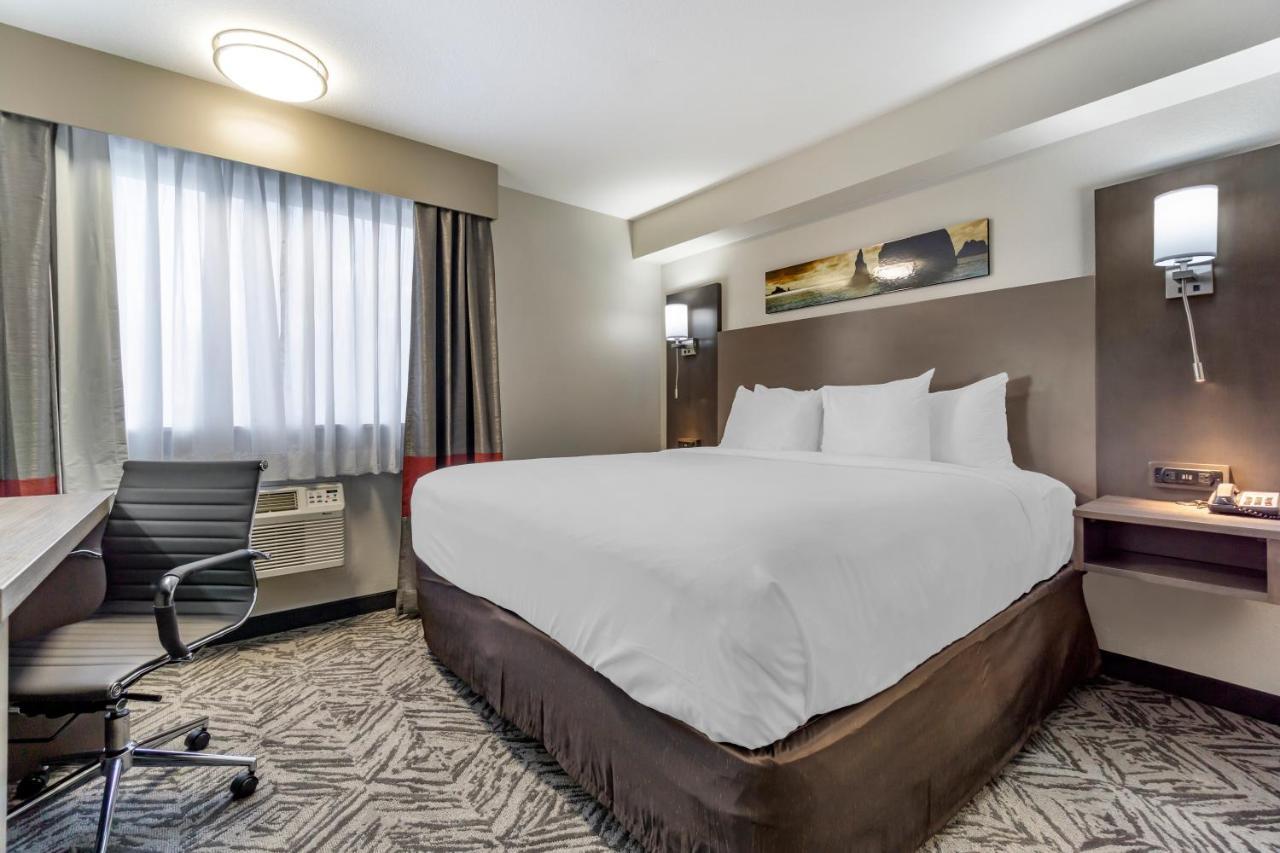 Comfort Inn & Suites Pacific - Auburn Exteriör bild